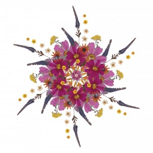 Mandala Art Pressed Flowers