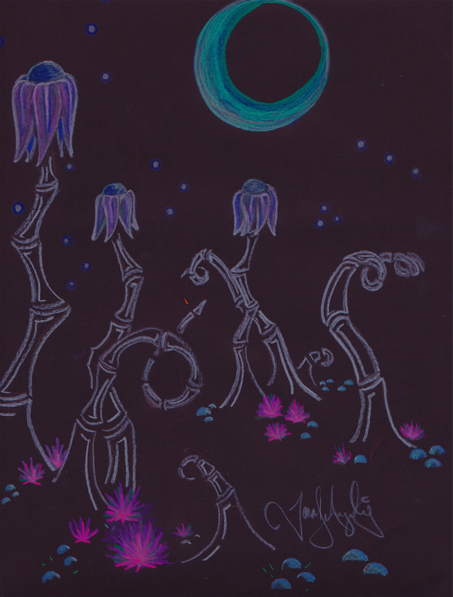 MoonFlowerOriginal MoonFlowerOriginal