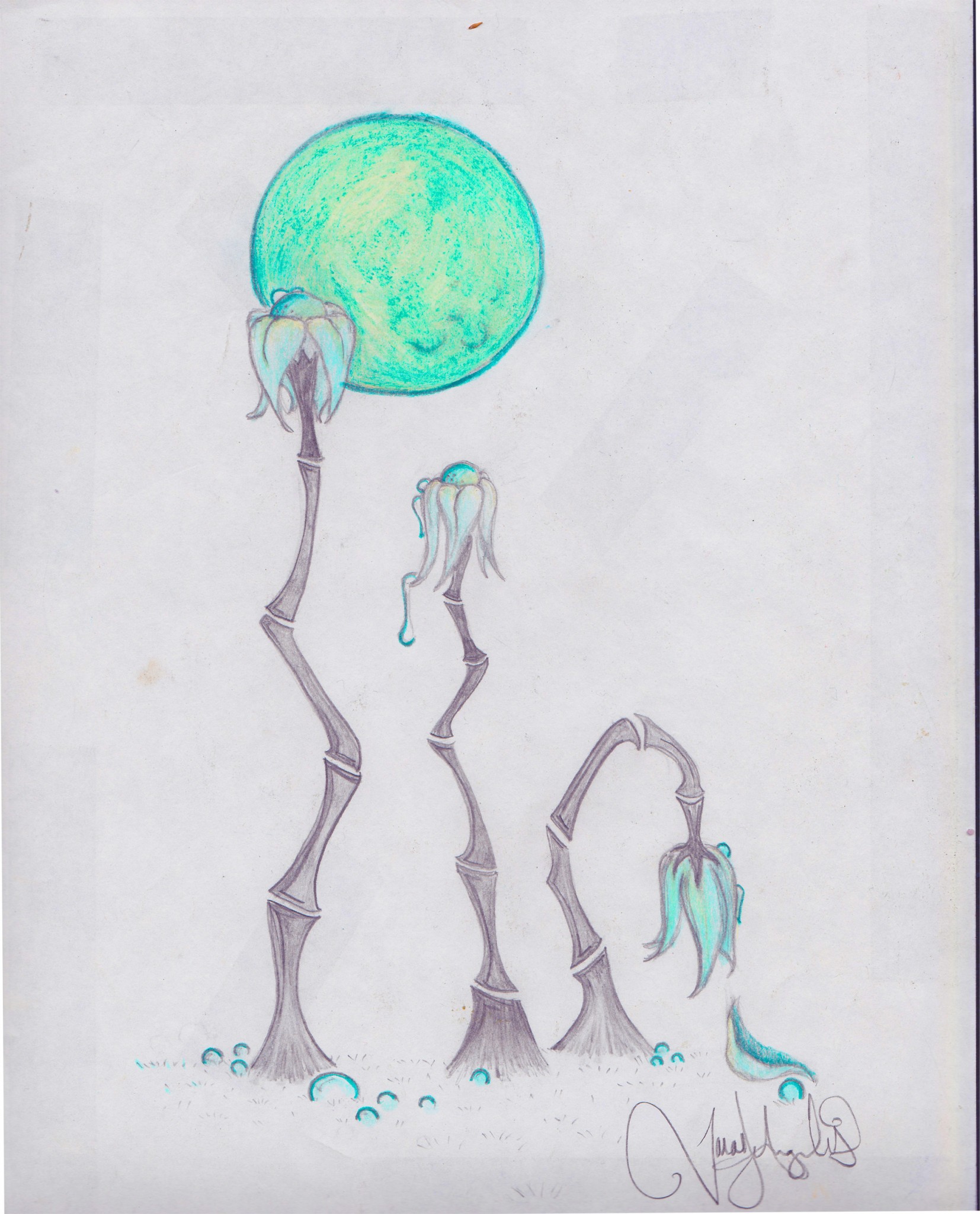 MoonFlowerOriginal2 MoonFlowerOriginal2